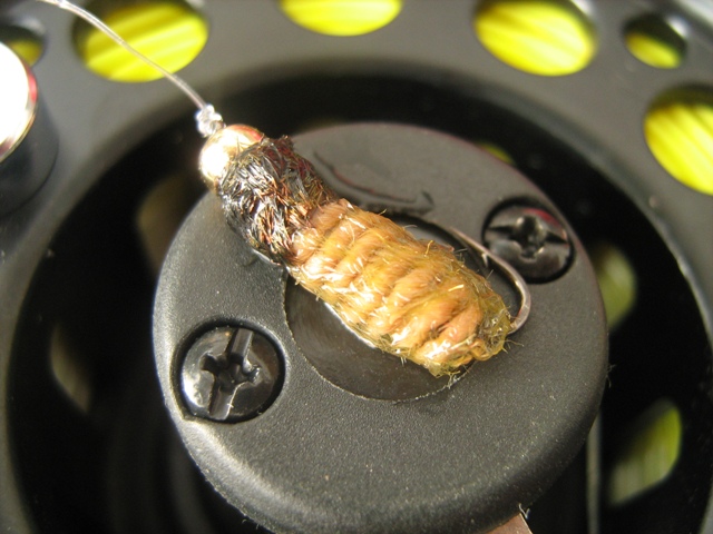Light brown caddis larva 015