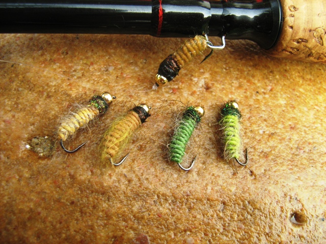 Light brown caddis larva 019