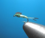 PVC Nymph – John Goddard web