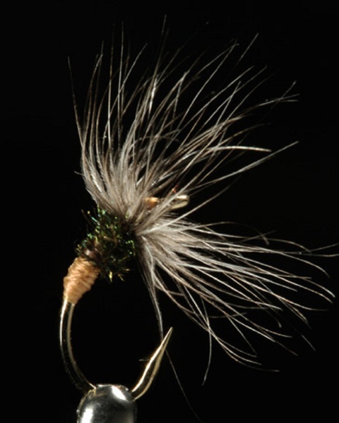 Takayama Sakasa Kebari web