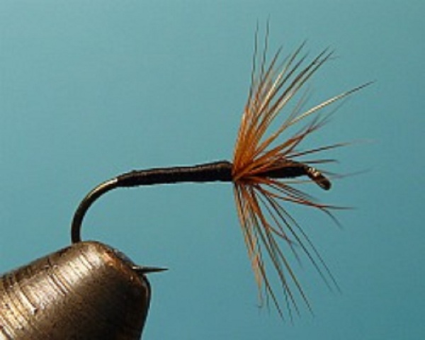 Tenkara 10 web