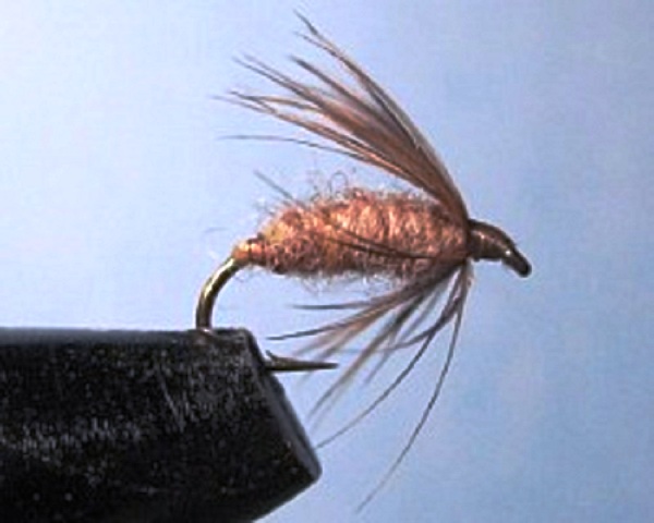 Ubica Keabri web