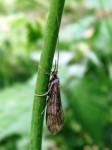 tular naslovna web