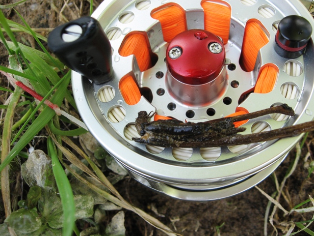 tular s kucicom na roli web