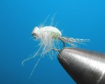 CDC Emerging Midge web