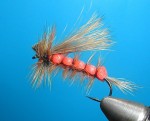 Rainys Stonefly web