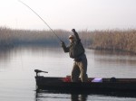 IMG_1600 web