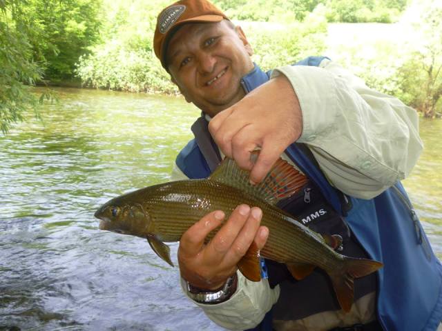 Nermin lipljan ribnik web