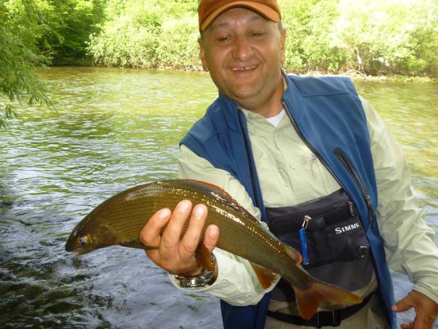 Nermin lipljan ribnik1 web