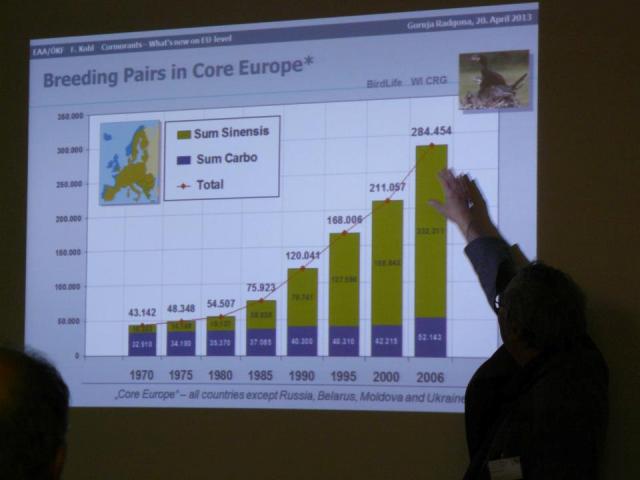 O kormoranima dijagram web