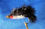 Snappy Poodle –  10cm web