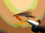 first choise web