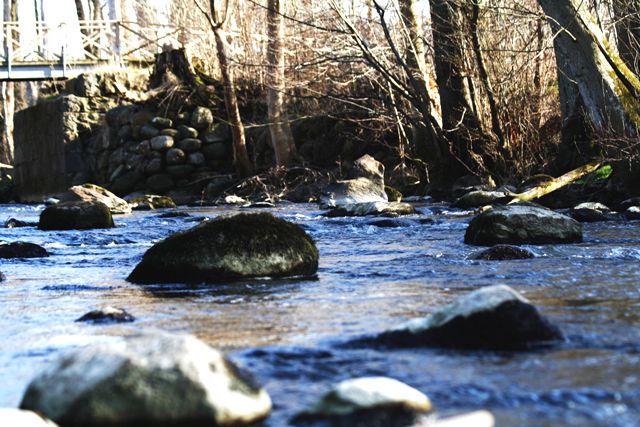 Billede 042 web