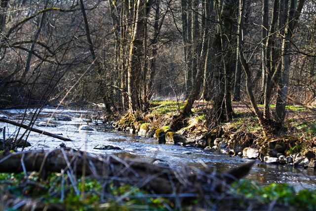 Billede 046 web