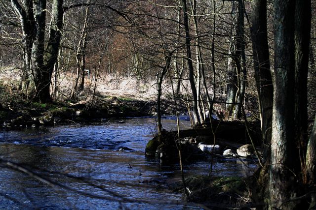 Billede 059 web