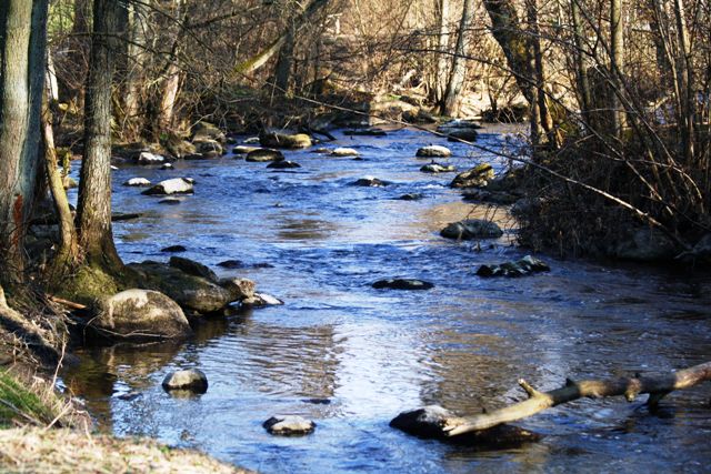 Billede 098 web