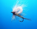 CDC Shadow Danica web