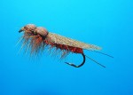 Maslar Fly web