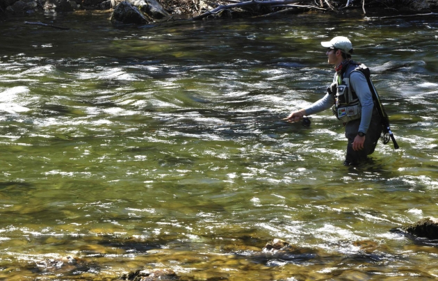 250076_pecanje-foto01-reuter-srdjan-zivulovic_orig