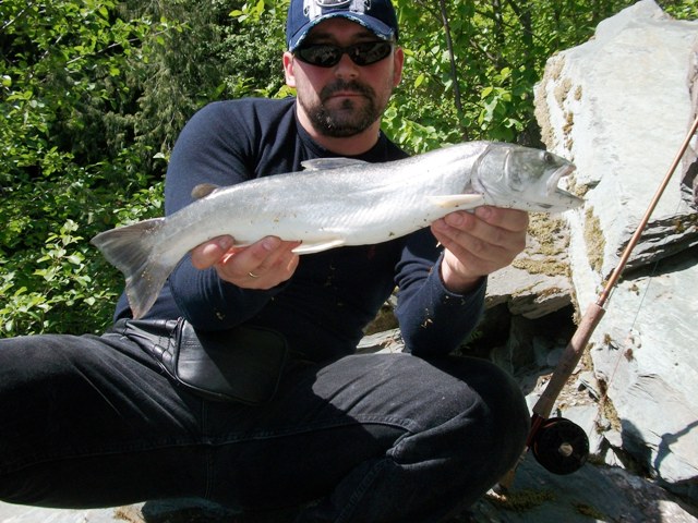 LILOOET RIVER Maj 15 036 web