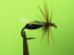 slika br.10 web