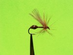 slika br.11 web