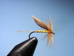 slika br.15 web