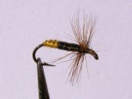 slika br.17 web