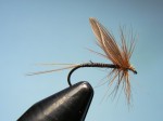 slika br.18_1 web