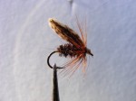slika br.4 web