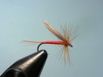 slika br.7_1 web