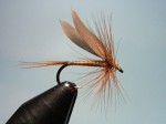 slika br.9_1 web