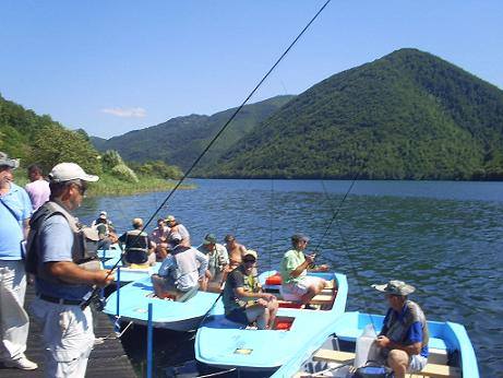 1236031_470400163067347_744916684_n