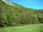 Gradac 4