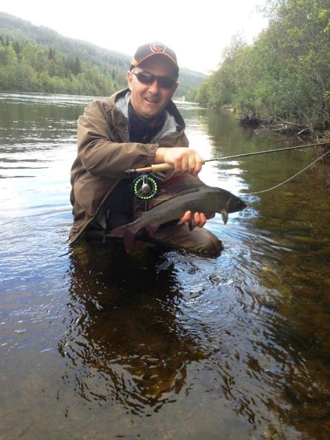 Saudin sa lipljanom od 49cm Rena