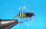Superpupa