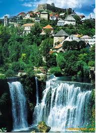 Vest dana: Jajce domaćin 2015.