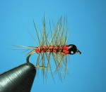 super pupa tonuca web3