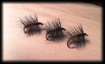 super pupa web1