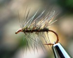 super pupa web3