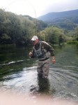 Damir web1