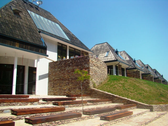 Pliva LTG web4