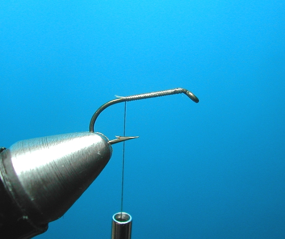 Xcaddis web 1