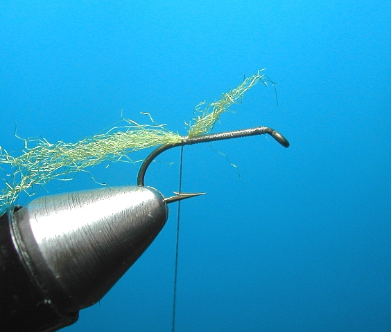 Xcaddis web 2