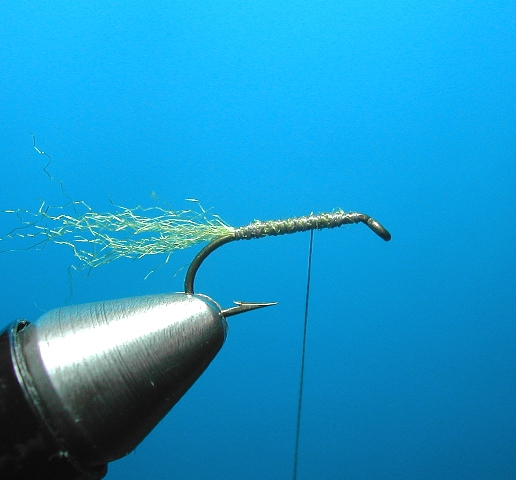 Xcaddis web 3