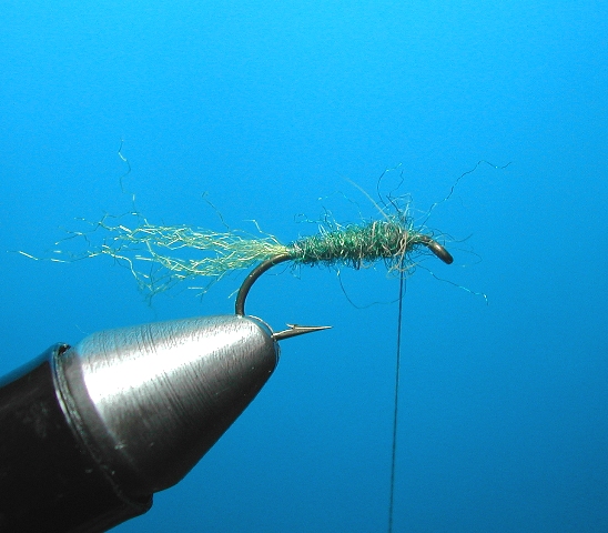 Xcaddis web 5
