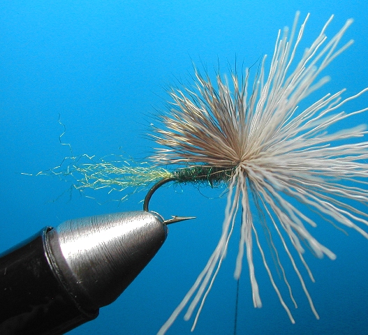 Xcaddis web 6