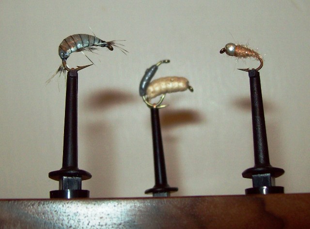 musice labobin gammarus i maxova srebrnoglava2 web