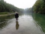 seb sarenka web 7