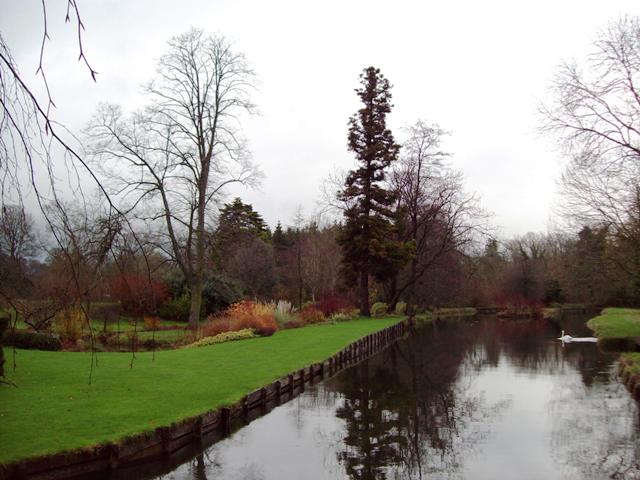 test longparish bez sunca1 web